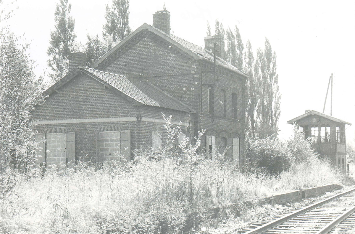 1981