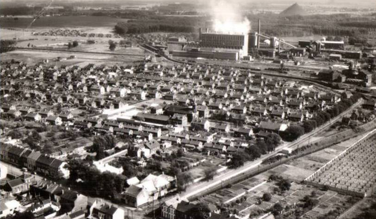 1950